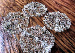 set 4 vintage antique handmade lace doilies